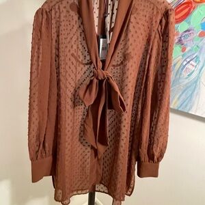 Adrianna Papell Brown Tie Front Long Sleeve Blouse